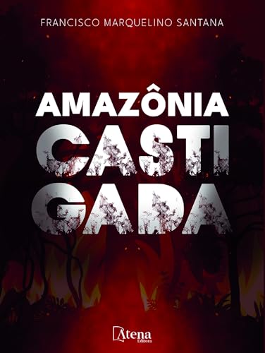 Amazônia castigada