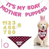Pink Dog Birthday Party Decorations Set, Puppy Birthday Decorations Kit Dog Birthday Decor Hat Bandana Dog Birthday Banner Scarf Sign Party Supplies for Puppy Pets Dogs (Style 2)