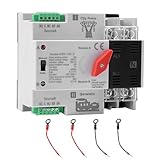 100Amp 110V Automatic/Manual Transfer Switch, Mini ATS 2Pole W2R Solar Auto Dual Power Changeover Switch for Home Generator, Din Rail Mounted 50/60Hz CE Certified for Rv, Lv, Cn Public/Backup Power