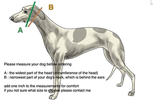 Sgang Martingale Dog Collar For Greyhound Saluki Whippet And Other Breeds With Similar Neck 2 Inch Wid (14"-18") Matching Leash Available thumb #4