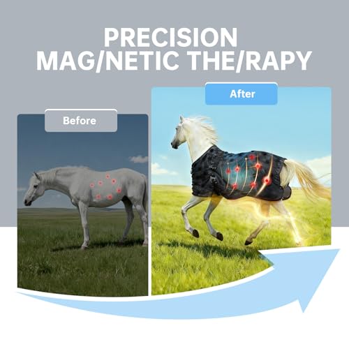 Mag/netic The/rapy Horse Sheet with 70 Mag/nets for Targeted Re/covery and Mus/cle Relaxation, Lightweight Black Mesh Blanket, 78\"