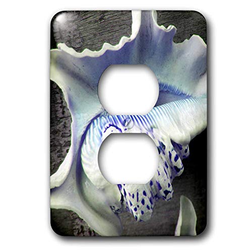 Coquillages bleus et violets solution pour embellir une double prise murale - 2