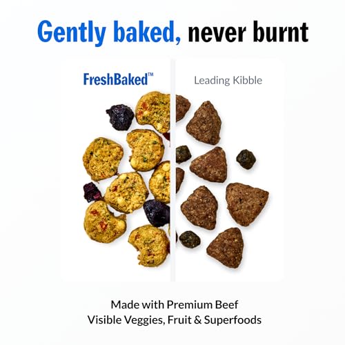 PetPlate FreshBaked Dry Canine Meals Grain-Inclusive | Human Grade Canine Kibble | Vet Designed and Formulated with Prebiotics and Postbiotics | No Fillers or by-Merchandise | 2lbs (Beef) PetPlate FreshBaked Dry Canine Meals Grain-Inclusive | Human Grade Canine Kibble | Vet Designed and Formulated with Prebiotics and Postbiotics | No Fillers or by-Merchandise | 2lbs (Beef)