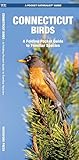 Connecticut Birds: A Folding Pocket Guide to Familiar Species (Pocket Naturalist Guide Series)