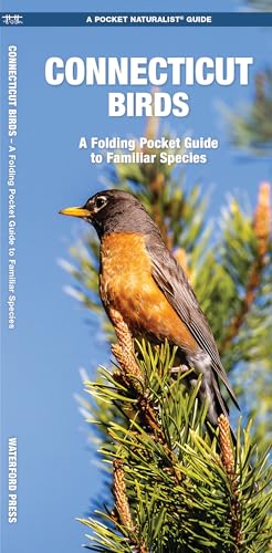 Waterford Press WFP1583551394 'Connecticut Birds' Book