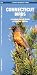 Connecticut Birds: A Folding Pocket Guide to Familiar Species (Pocket Naturalist Guide Series)