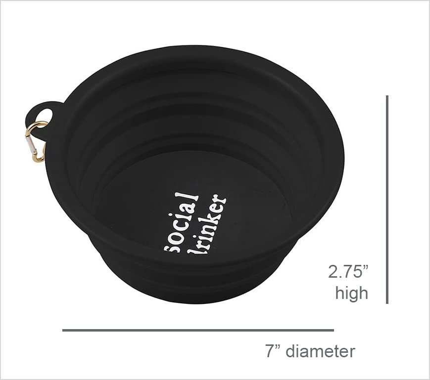 Santa Barbara Design Studio Collapsible Pet Bowl Silicone Portable Water Bowl for Dogs or Cats, Holds 4-Cups, Social