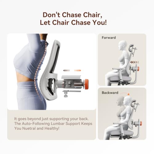 Image of Newtral Ergonomic Office Chair - Home Office Desk Chair with Adaptive Lumbar Support, with Footrest, 4D Armrest, Adjustable Seat Depth & Height