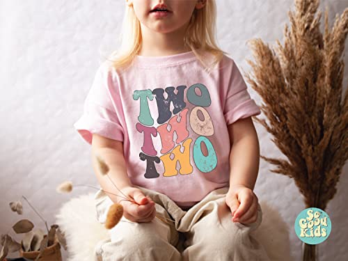 Two Year Birthday Shirt, Toddlers 2nd Birthday Shirt, Groovy Two Year Shirt3
