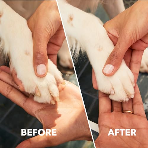 Image of Dremel Pet Grooming Nail Guard Attachment, Ideal for Dog & Cat Nail Trimming, AT02-PGK