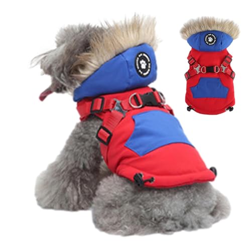 pWbp[R[gAp~R[g,Wbp[tg | G߂̃ybgApA풅AUAzf[p[eB[ɍœKȉKȌpR[g