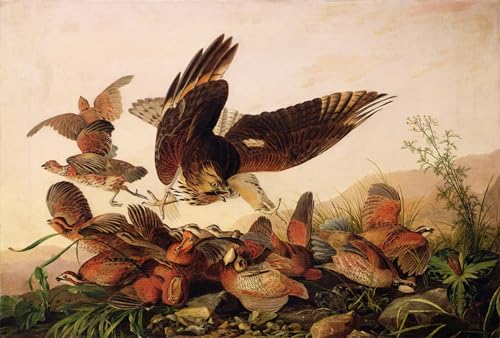 Tableaux Peinture Murale Nordique pour la Décoration de la Chambre oiseau