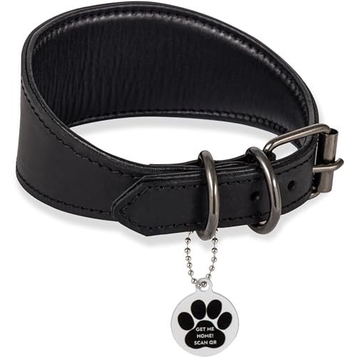 FAVPET Collier en Cuir Souple pour Lévrier avec Étiquette ID QR pour Whippet Lévrier Italien Saluki Borzoi Galgo Espagnol Azawak Xoloitzcuintli, Large...