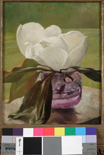 Magnolia Blossom de John La Farge poster mural grand format 60x90cm affiche Lafarge