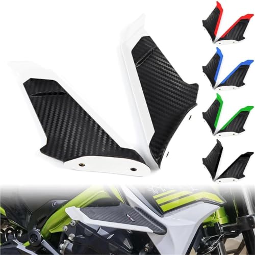 Aileron d'aile aérodynamique rigide pour carénage Kawasaki Ninja