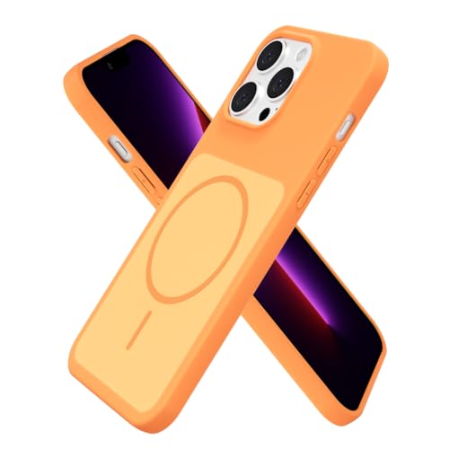 Coque iPhone 13 Pro douce et lisse, protection mate haut de gamme