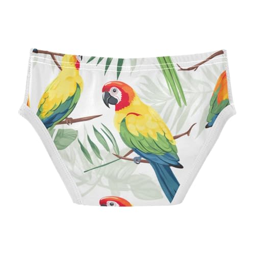 ALAZA Baby Boys' Briefs Toddler Boys Underwear 100% Cotton Soft Parrot Bird 2T2