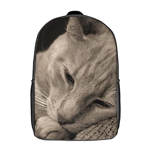 Sac d'école chat 17 pouces grand sac à dos étudiant et adulte