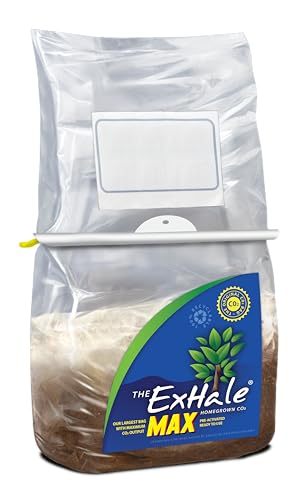 Exhale Homegrown CO2 MAX - Largest CO2 Bags for Indoor Grow Rooms & Grow Tents - Foliage Mushroom Bags (1 Pack)