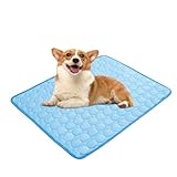 [SOMMEIL CONFORTABLE] Ce matelas pour animaux est doux, plat et confortable, doublé de coton et doté d'un envers antidérapant. Ce tapis de cage confortable protège efficacement la colonne vertébrale des chiots et convient également aux animaux âgés et handicapés.