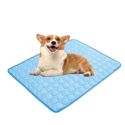 Chumix Colchón Grande para Jaula de Perro