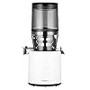 Hurom H320 Slow Juicer | Ultra Low Pulp | Hands-Free | Hopper Fits Whole Produce | Quiet Motor | BPA Free | Easy Assembly | Cold Press Masticating Juicer (White)