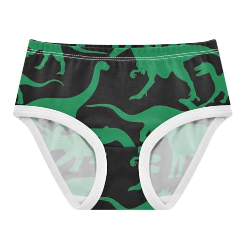 Cute Dinosaurs Green Black Little Girl Panties Toddler Underwear Custom Cotton Florals Kids Undies Briefs 2t