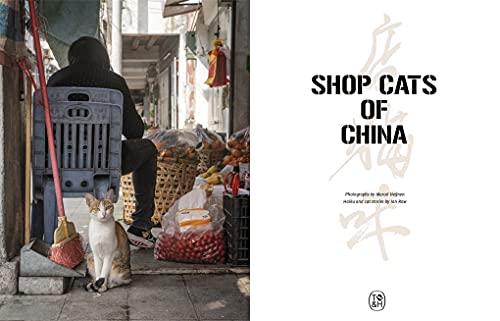Shop Cats of China