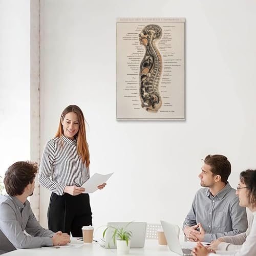 Impression sur toile moderne de qualité musée représentant une planche d'anatomie vintage - 5