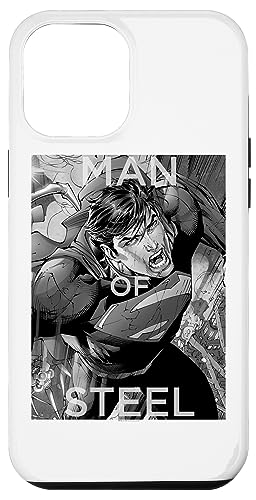Superman Flight of Steel Grayscale Case for iPhone 12 Pro Max