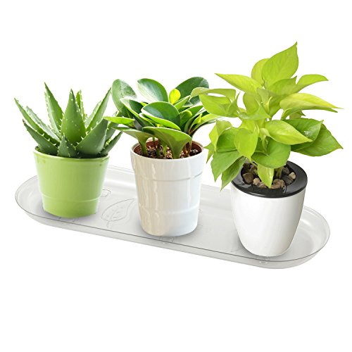 Idyllize 5 Klar Kunststoff Schwere Pflicht Pflanze Untertasse Tropfschalen für Töpfe 14'' x 4.6'' – Ansicht 5