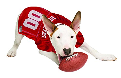 Ncaa College Ohio State Buckeyes Mesh Jersey For Dogs & Cats, Medium. Licensed Big Dog Jersey With Your Favorite Football/Basketball College Team #TOP4