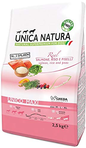 Gheda Petfood Unica Natura Alimento Completo per Cani di Media e Grande Taglia a Base di Salmone Riso e Piselli in Confezione da 2500 Grammi