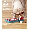 Nina-Ottosson-by-Outward-Hound-Interactive-Treat-Puzzle-Dog-Toy Interactive Treat Puzzle Dog Toy