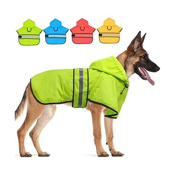 Candofly Dog Raincoat Hooded Poncho – Adjustable Waterproof Dog Rain Jacket Lightweight Reflective Dog Rain Coat Pet Slicker for Small Medium Large Dogs (Large, Green) Candofly Dog Raincoat Hooded Poncho – Adjustable Waterproof Dog Rain Jacket Lightweight Reflective Dog Rain Coat Pet Slicker for Small Medium Large Dogs (Large, Green)