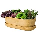 Keramik Blumentopf Blumenschale Kakteenschale Untersetzer Wasserloch Kakteen Bonsai Sukkulenten (oval, hell braun)