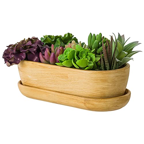 Keramik Blumentopf Blumenschale Kakteenschale Untersetzer Wasserloch Kakteen Bonsai Sukkulenten (oval, hell braun)