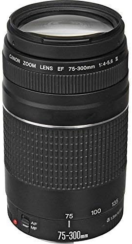 Canon EF 75-300mm f/4-5.6 III Telephoto Lens (Renewed) - $250.30