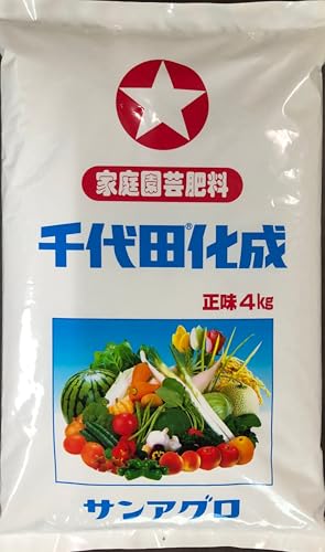 [엿F؁EʎEԖ] c < `b\(15)E_(15)EJ(10) > (SL)