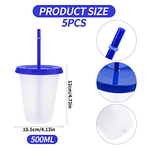 TSLBW 5 Pcs Reusable Plastic Cup Drinkware Tumblers Acrylic Cups Tumblers with Lids and Straws Plastic Bulk Iced Plastic Cold Water Tumblers Iced Coffee Cups Travel Mug Party Tumbler (bg140) - Image 2