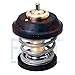 FACET ENGINE COOLANT THERMOSTAT 7.8743S Compatible with Audi 06H121113B