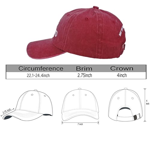 Image of Officially Retired Hat for Men Women Ritirement Gift, Embroidered Not My Problem Anymore Baseball Cap