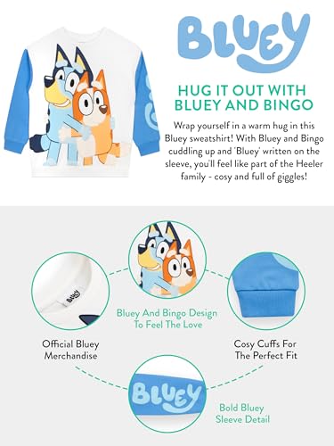 Bluey Sweatshirt For Boys | Bingo Sweater For Boys | Soft Cotton Pullover Sweatshirt4