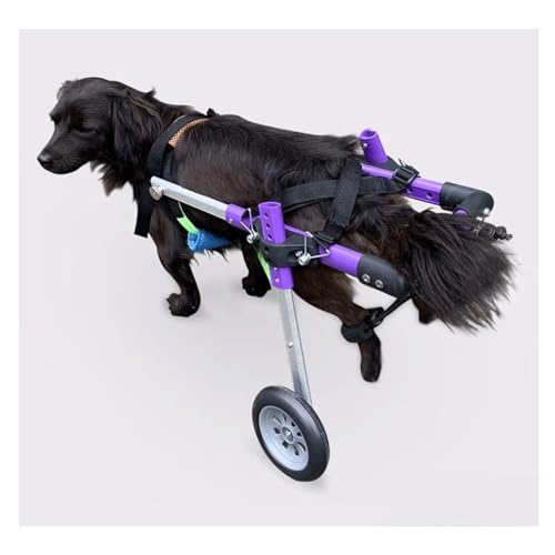 GUIXAN Silla de Ruedas Ajustable para Mascotas, Silla de Ruedas para Perros de 2 Ruedas para Patas traseras, Coche para Caminar asistido de aleación de Aluminio para Perros de 10 a 20kg