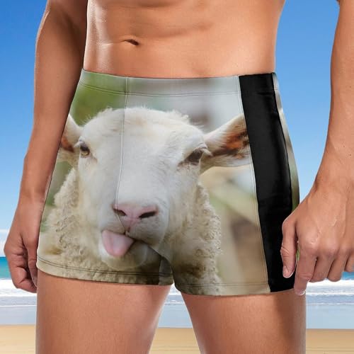 Short de bain homme séchage rapide Mouton Mignon boxer natation sport