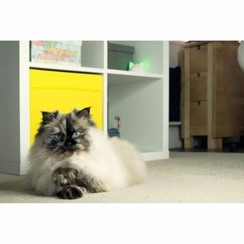 Sure Petcare Hub, kompatibel mit der SureFlap Mikrochip-Haustierklappe Connect/Mikrochip-Katzenklappe Connect, dem SureFeed Mikrochip-Futterautomaten Connect, Felaqua Connect, mit App, weiß