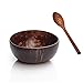 dewdropy Bol De Noix De Coco Bol De Noix De Coco Naturelle avec Cuillère en Bois Ensemble D'ustensiles Soupe Salade De Fruits Bol De Riz Aux Nouilles Bol De Fruits en Bois