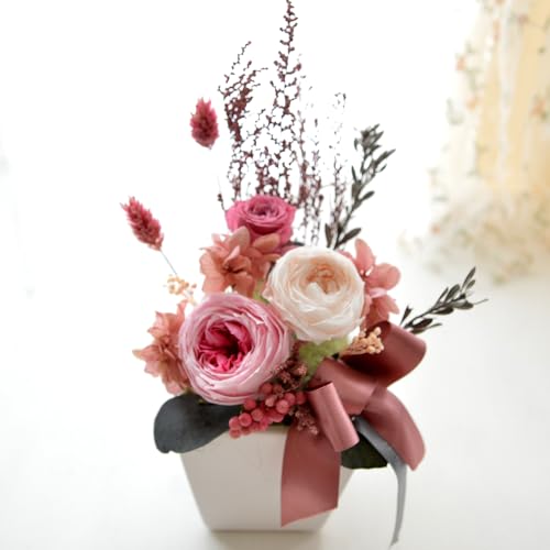 vU[uht[ MtgA}sA ق̂  a  JXj җ  Ď P ̓ ̓ (~tB[)