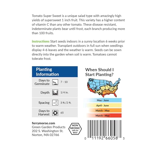 Image of Ferry-Morse Online Edition Tomato Supersweet 100 Hybrid Seeds - High Germination Rate, GMO Free - 8 Pack