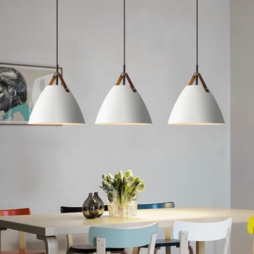 Lampe suspendue rustique simple 10,6 pouces au-dessus de la table - 6